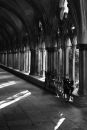 Salisbury Cathedral Cloister