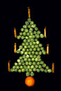 Brussels Spouts Tree