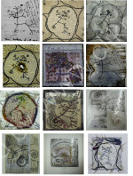 from Tree of Life series