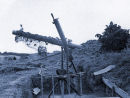 Sitting on the Mirus gun barrel.