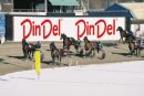 Din Del
