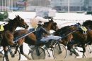 Bromma/ Solvalla 