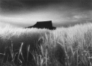Barn and Barleyfield