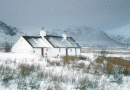 Black Rock Cottage