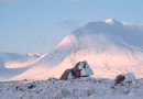 Dawn, Rannoch Moor