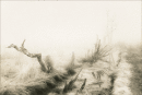 Decayed Trees  