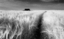 Pathways