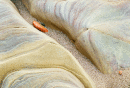 Rock Colours 5 - Northumberland