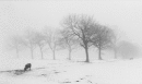 Winter in Edale