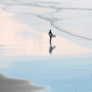 Surfer, Woolacombe Beach
