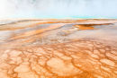 Thermal Run Off, Grand Prismatic Spring