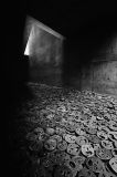 "Fallen leaves"