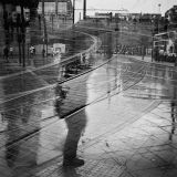 Piccadilly Tram Lines