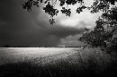 After the Storm