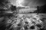 Dune Shadows