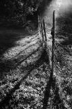 Catherine's Fence