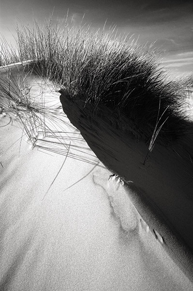 Sand Dune Shadows