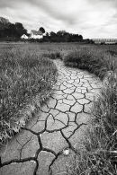 Low Tide on the Saltmarsh