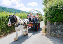 Cara and her Father on way to Church in the Horse and Cart