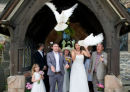 The release of Doves