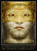TYGER MASK
