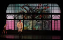 The Artist introduces his flowers