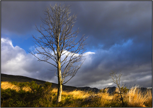 Ogwen Valley, Snowdonia.