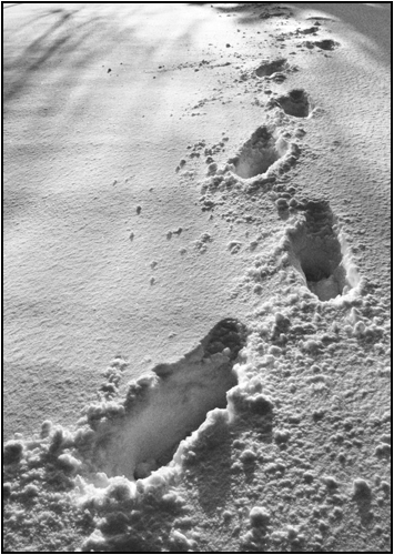 Foot Fall