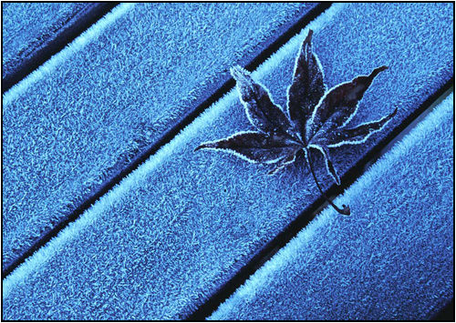 Frosted.