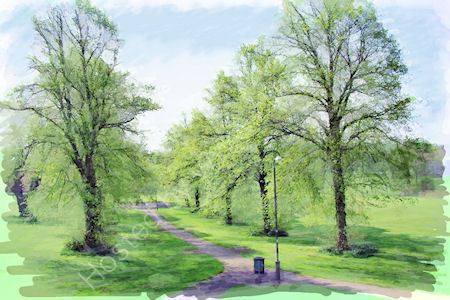 The Stray, Lightcliffe