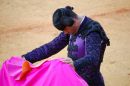 Bull fighting