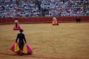 Toros
