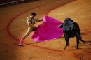 Toros