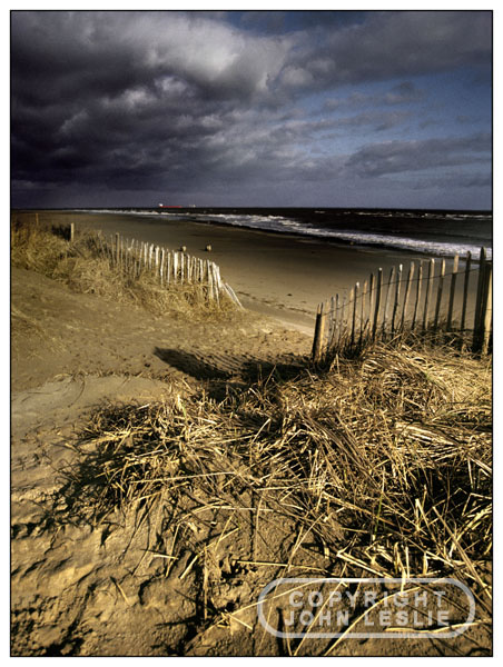 estuary autumn