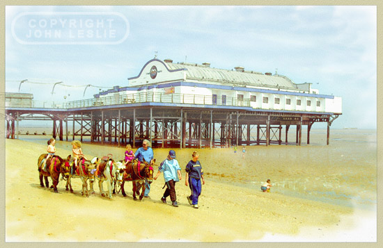 cleethorpes donkeys