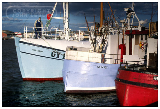 fishdock 3