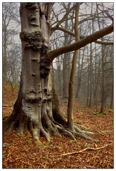 Wold Newton autumn