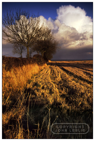 Wold Newton sunset