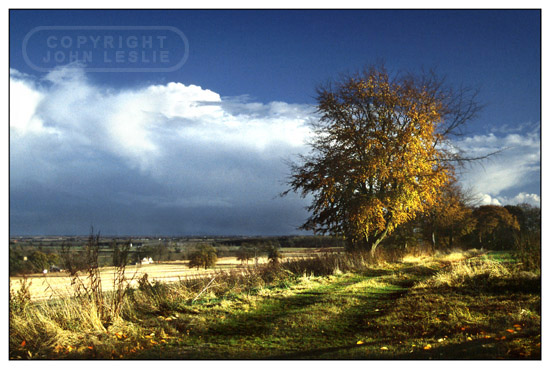 grainsby view