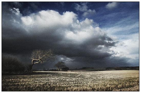 wolds autumn