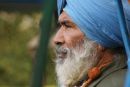 Serene Sikh worker