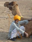 A man's best friend is his ..... Camel