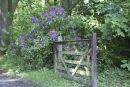 Entrance to the 'Secret Garden'