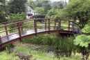Bridge to Tranquility