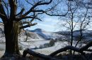 Winter scene
