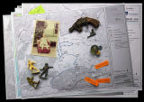 A New EIA for Natural Scotland: Environment, Imagination and Aesthetics