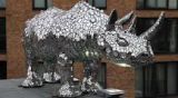 Heart of the Rhino