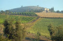 Morning Mist, Orcia Valley