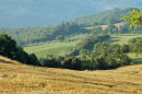 View into Orcia Valley at sunrise