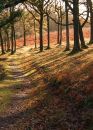 Autumn colours above Horner